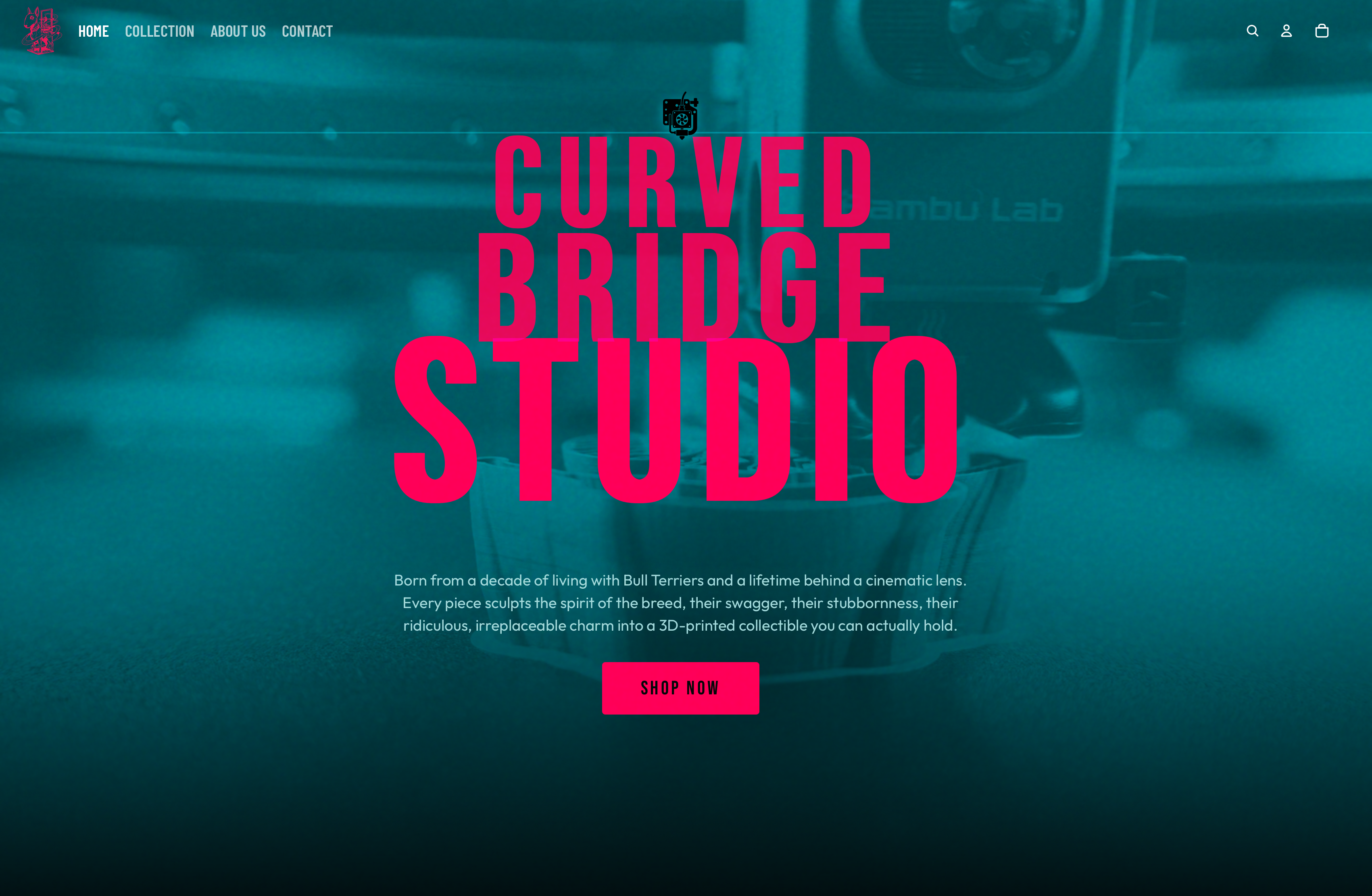 Curved Bridge Studio